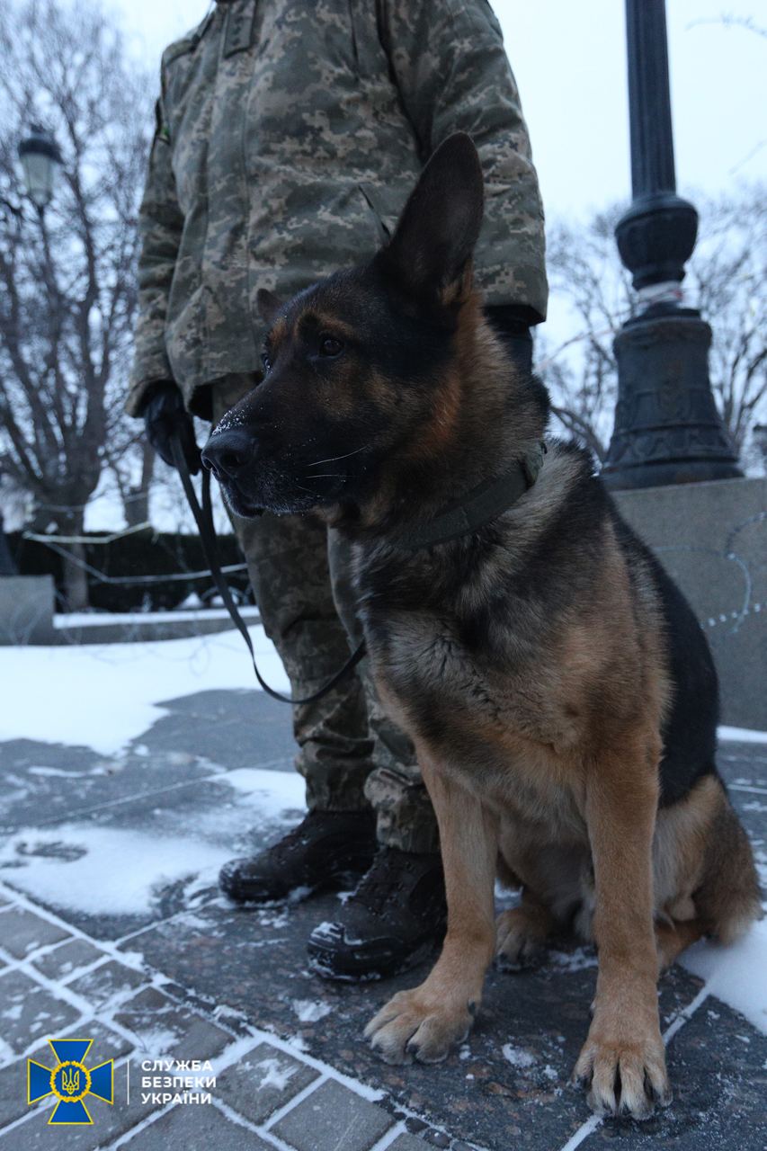 СБУ проводит контрразведывательные мероприятия в правительственном квартале Киева