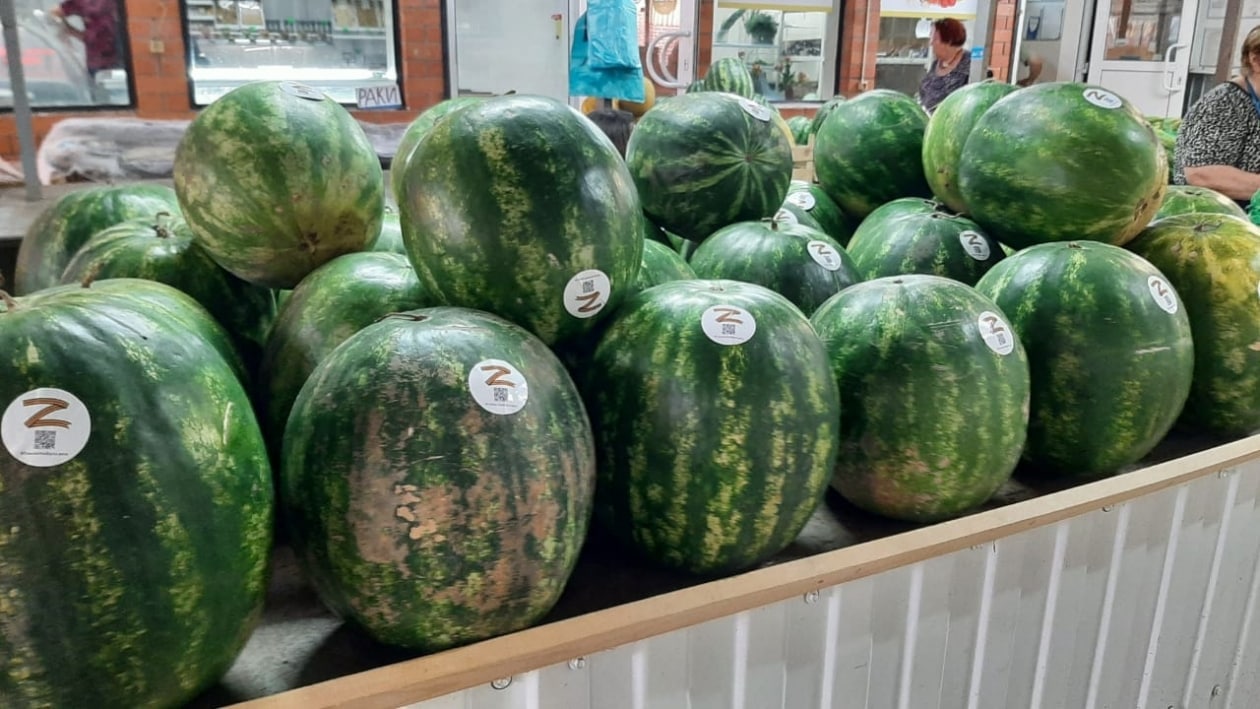 Херсонские арбузы на рынке в России