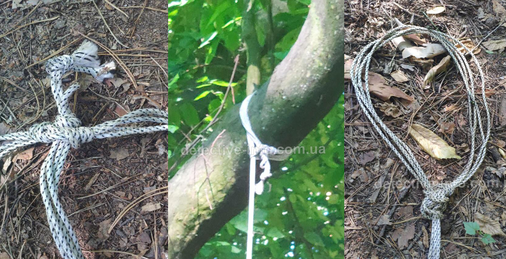 Веревка на месте смерти Шишова