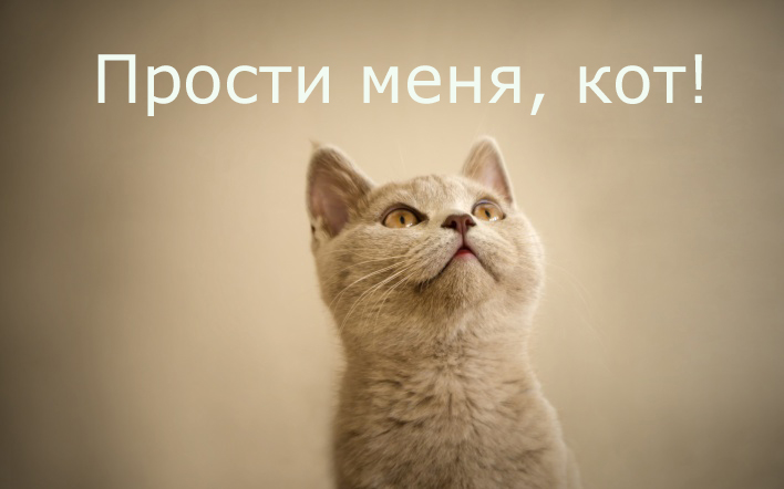 прощена неділя у 2026 році