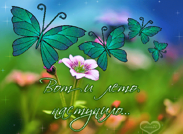 з першим днем літа 2025