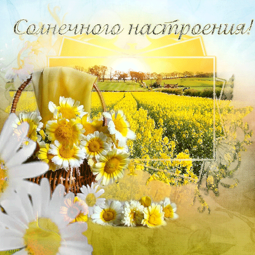 картинки з першим днем літа