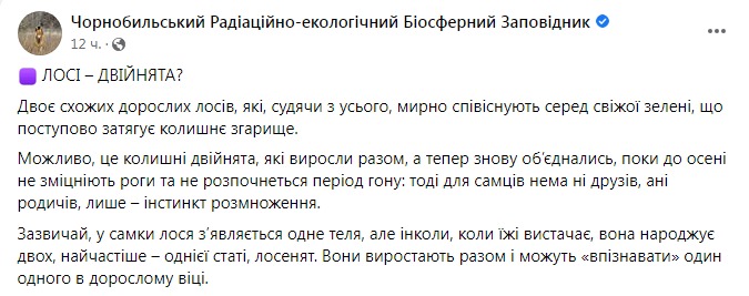 Скриншот из Фейсбука