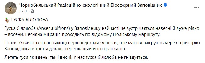 Скиншот поста