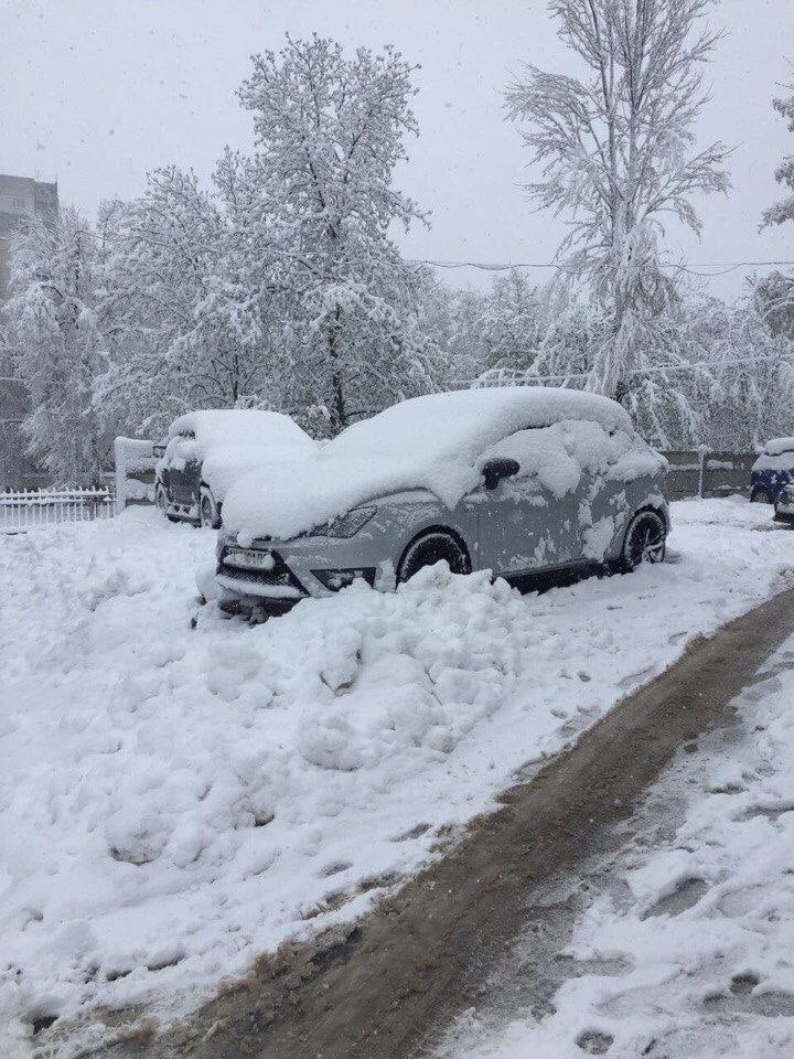В Гидрометцентре напомнили о последствиях самого масштабного за 150 лет снегопада