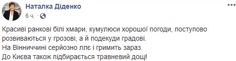 Синоптик Наталья Диденко спрогнозировала бурю. Скриншот: Facebook / Наталка Диденко