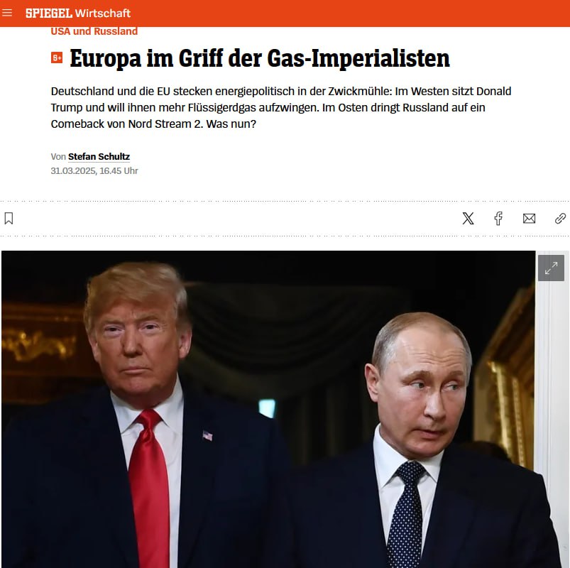 Заголовок на spiegel.de