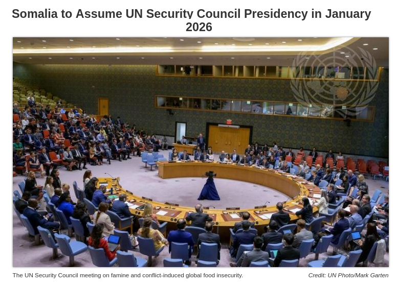 Снимок заголовка на allafrica.com - Сомали возглавит Совет Безопасности ООН в 2026 году